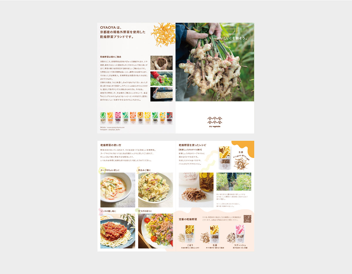 蔬菜干品牌包裝設(shè)計(jì)欣賞